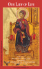 *BILINGUAL* Our Lady of Life Prayer Card (English/Spanish)